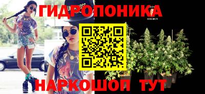 спиды Партизанск