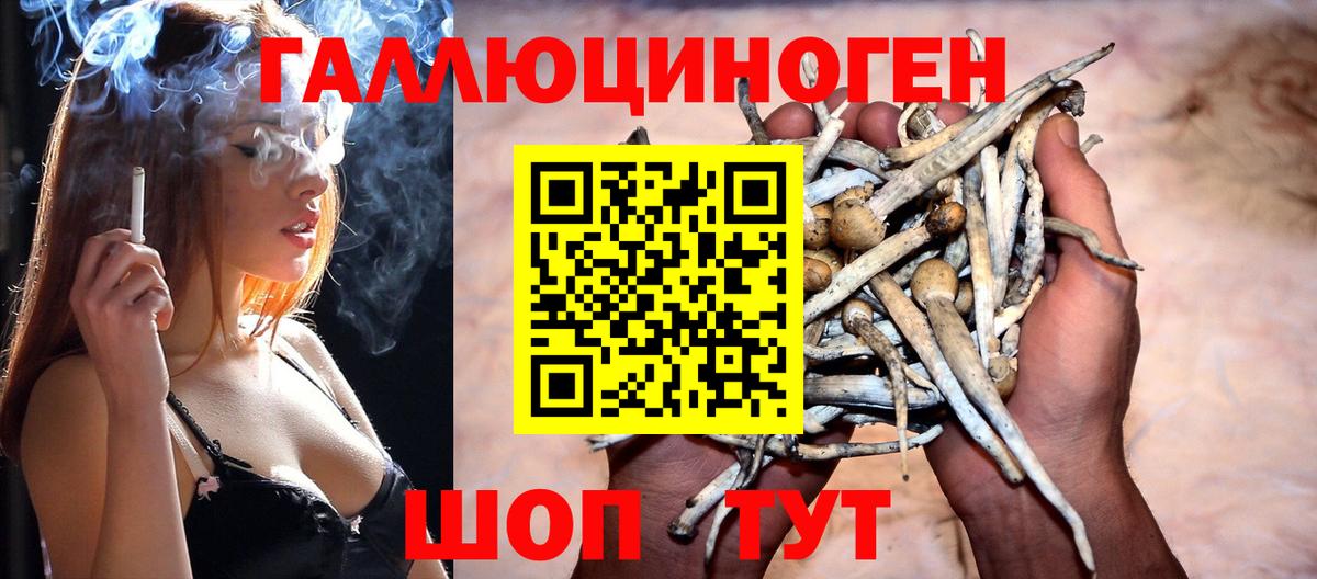 где можно купить наркотик  Псилоцибиновые грибы Psilocybine cubensis  Прохладный  Вход с VPN  Псилоцибиновые грибы Psilocybe 