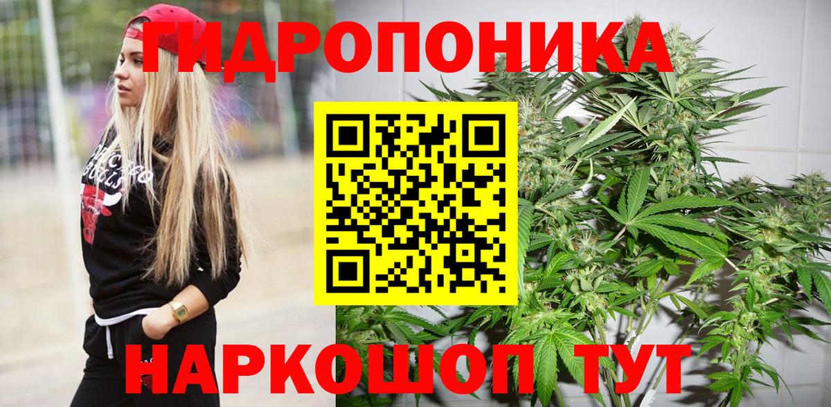 Бошки марихуана ГИДРОПОН Прохладный